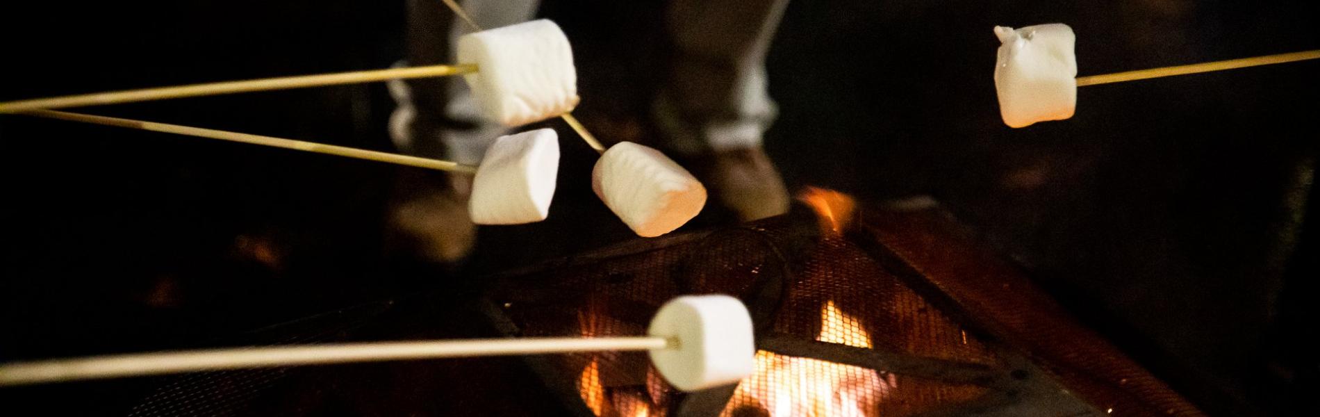 Attendees roasting marshmallows