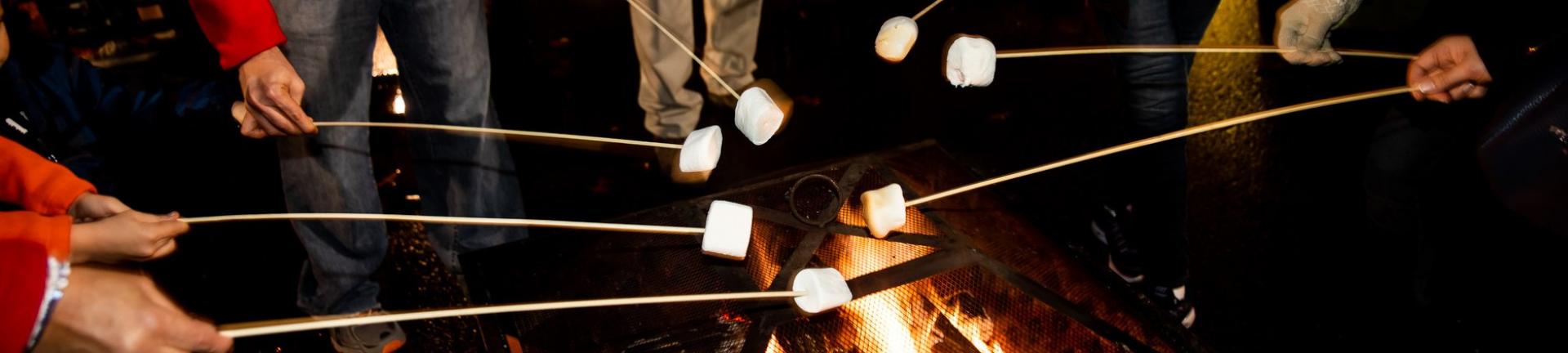 Marshmallow Roasting at Downtown Christmas Magic, True Light Photography